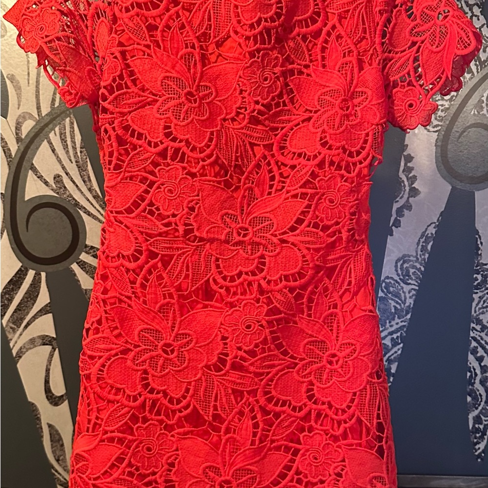 Ark & Co Scarlet Lace Over Mini Dress